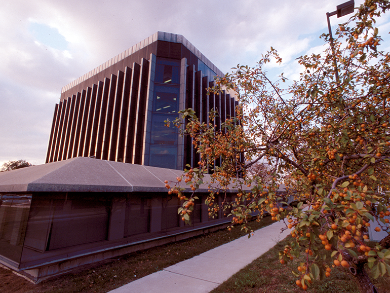A fall photo showcases a fruit tree in the foreground and the Fisher Building in the background.