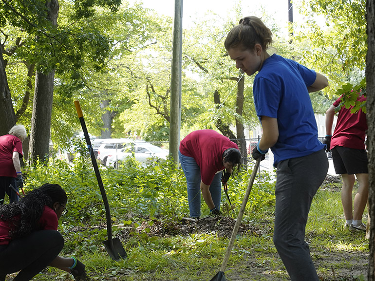 People work to clear brush in the community near UDM's campus.