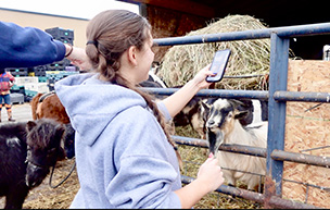 A student takes a photo of a goat.