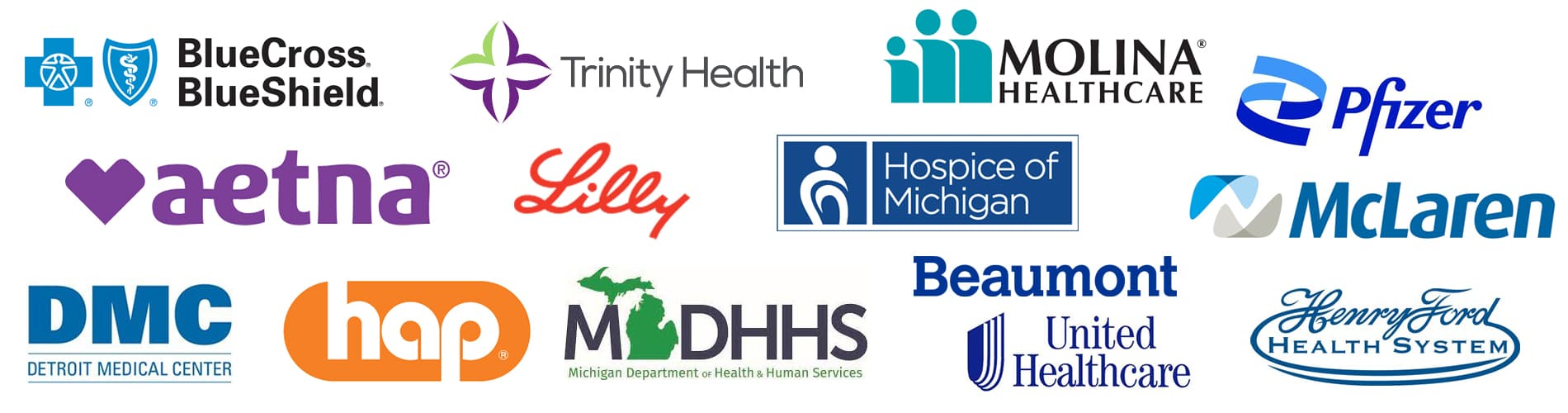 our grads work all over Michigan hospitals, insurance companies and county health offices