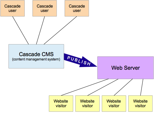User inputs content to Cascade, hits publish to send to live website.