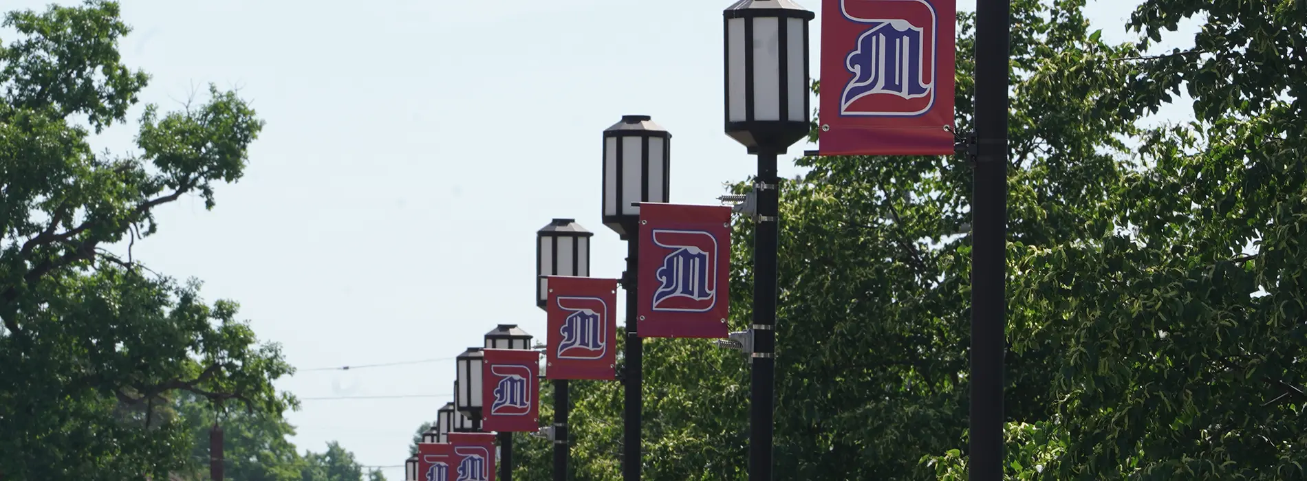 image of lightpost banners