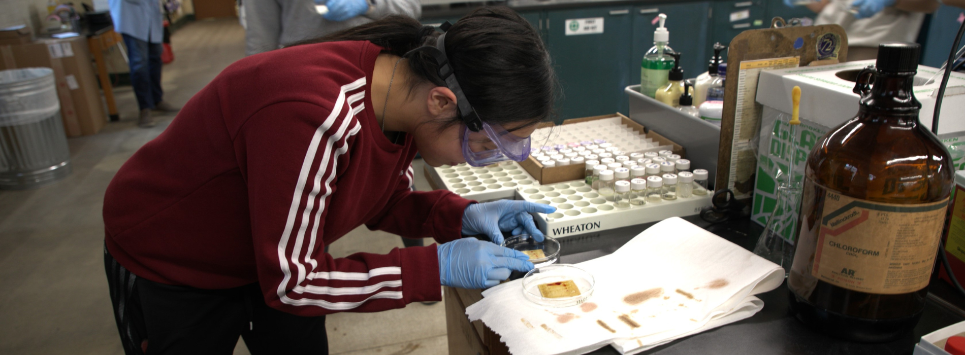 Student conducts research in Dr. Mio's lab