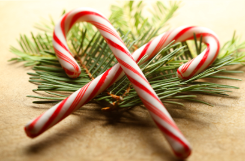 image of candy canes on greenery