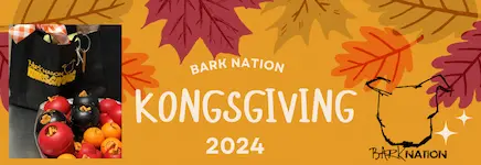 Kongsgiving poster